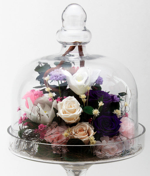 Life In A Jar