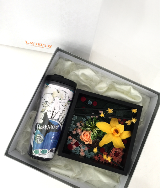 Hikaru - limited edition