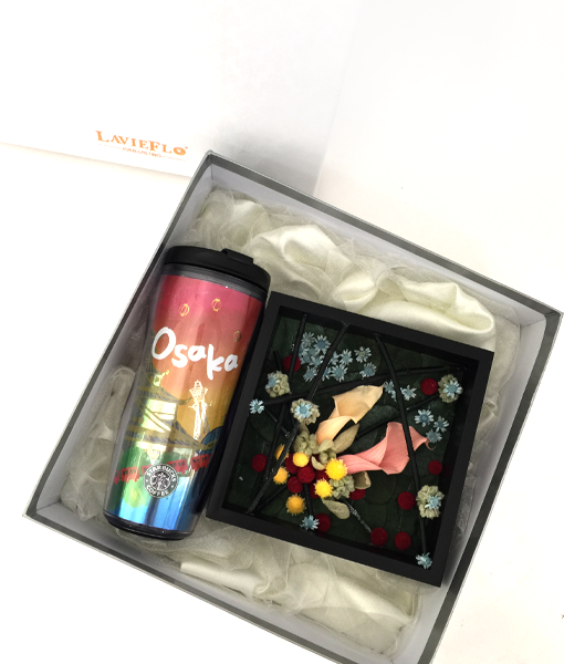 Misaki - limited edition