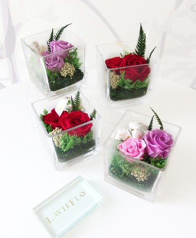 Glacia - Preserved Flower Gift