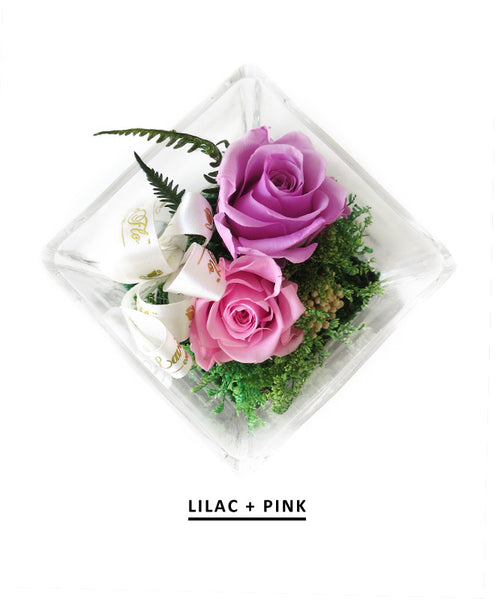 Glacia - Pink and Lilac Preserved Roses