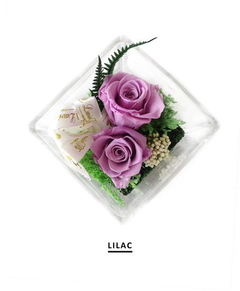 Glacia - Lilac Preserved Roses