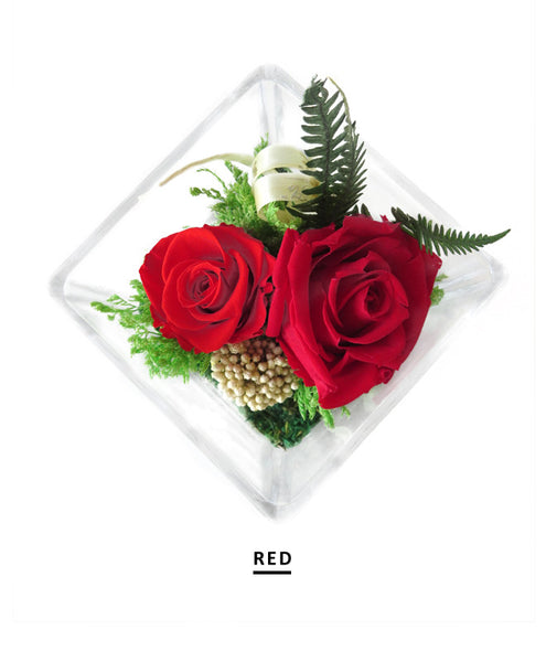 Glacia - Red Preserved Roses