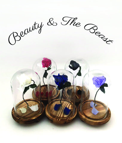 Beauty and The Beast
