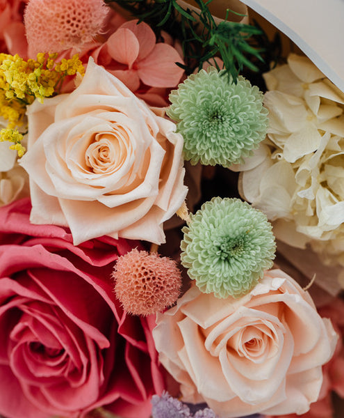 Love Blossoms